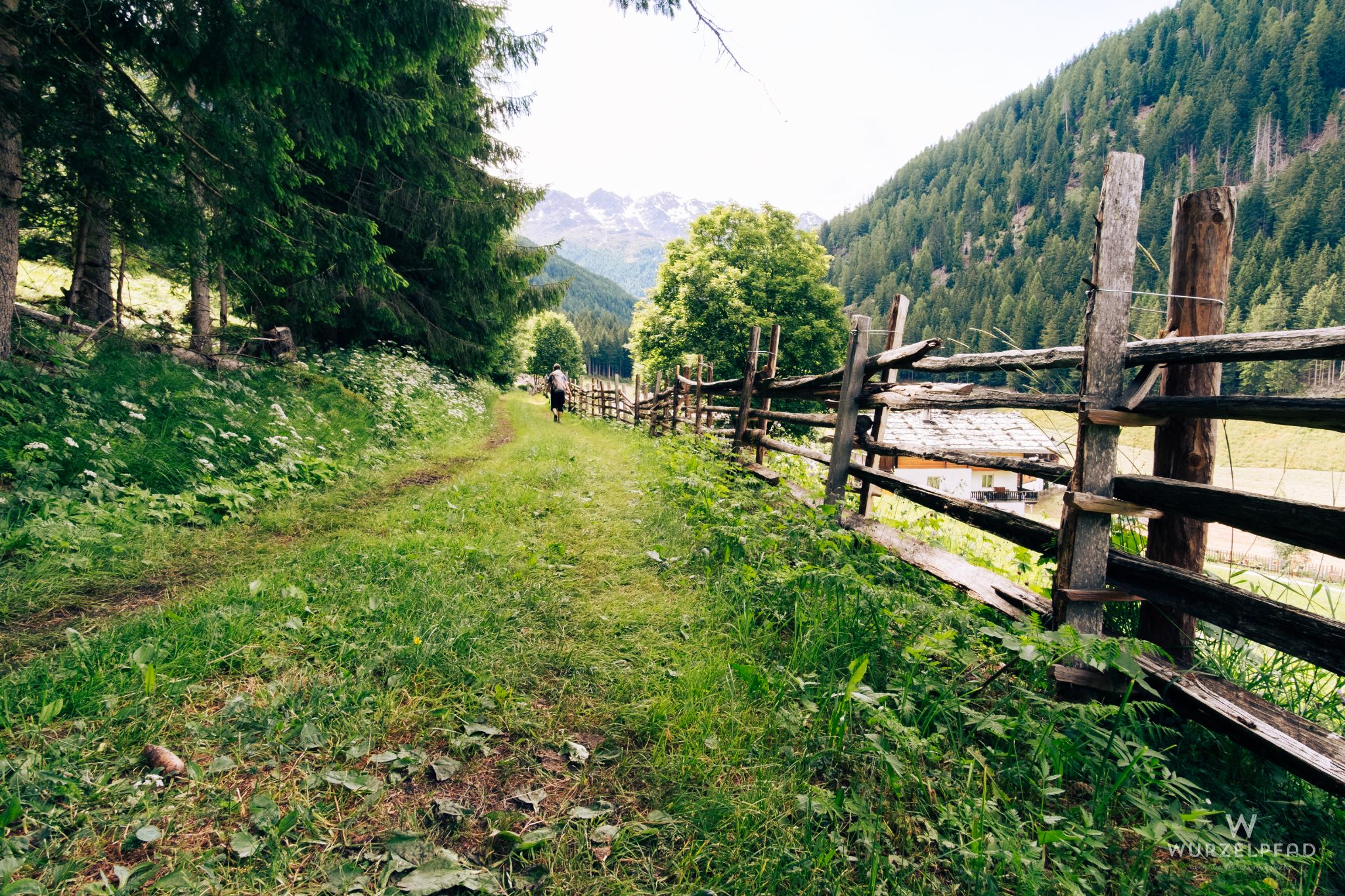 Zurück in St. Gertraud